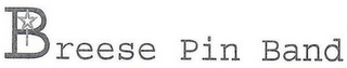 BREESE PIN BAND logo