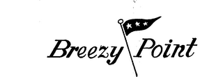 BREEZY POINT logo