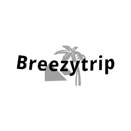 BREEZYTRIP logo