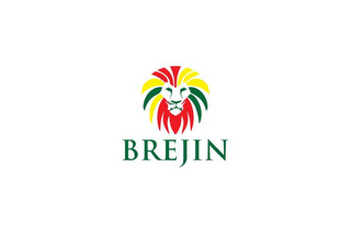BREJIN logo