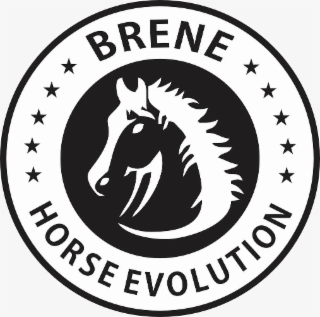 BRENE HORSE EVOLUTION logo