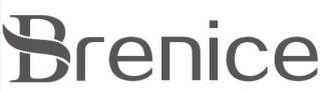 BRENICE logo