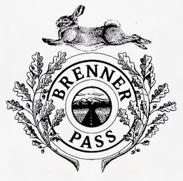 BRENNER PASS logo