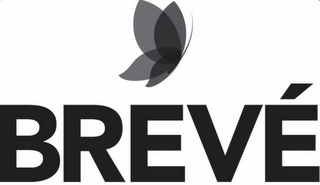 BREVE' logo