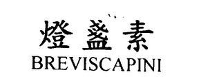 BREVISCAPINI logo