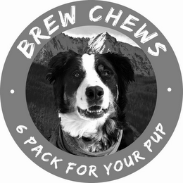 BREW CHEWS 6 PACK FOR YOUR PUP logo