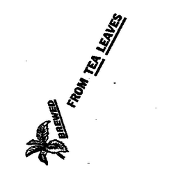 BREWED FROM TEA LEAVES logo