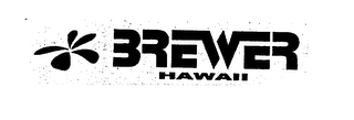 BREWER HAWAII logo