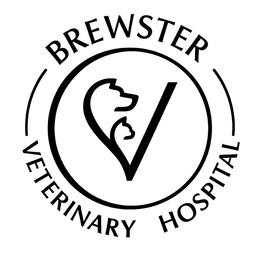 BREWSTER VETERINARY HOSPITAL