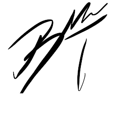 BREYAHN T logo