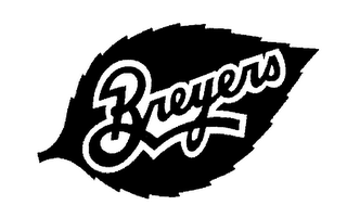 BREYERS logo