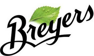 BREYERS logo