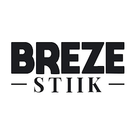 BREZE STIIK logo