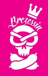 BREZESSIN logo