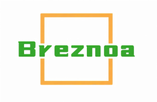 BREZNOA logo