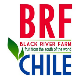 BRF BLACK RIVER FARM FRUIT FROM THE SOUTH OF THE WORLD CHILE logo