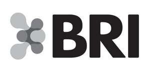 BRI logo