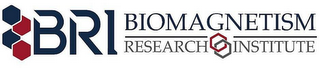 BRI BIOMAGNETISM RESEARCH INSTITUTE logo