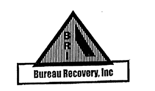 BRI BUREAU RECOVERY, INC logo