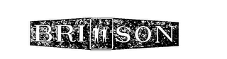 BRI SON logo