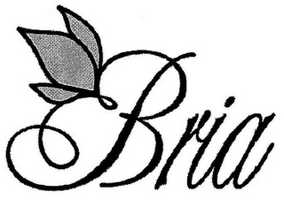 BRIA logo