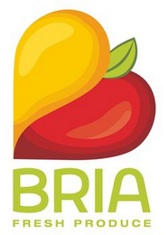 BRIA FRESH PRODUCE logo
