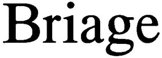 BRIAGE logo