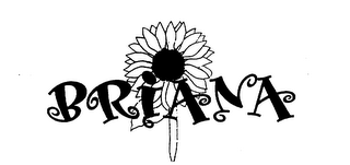 BRIANA logo