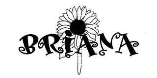 BRIANA logo