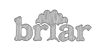 BRIAR logo