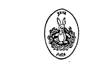BRIAR PATCH logo