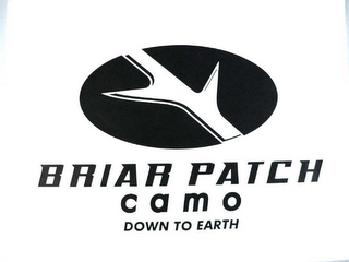 BRIAR PATCH CAMO DOWN TO EARTH logo
