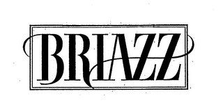 BRIAZZ logo
