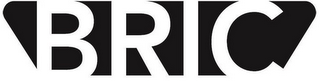 BRIC logo