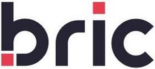 BRIC logo