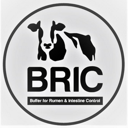 BRIC BUFFER FOR RUMEN & INTESTINE CONTROL logo