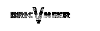 BRIC V NEER logo