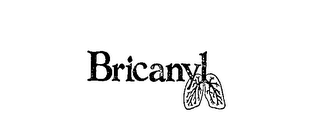 BRICANYL logo