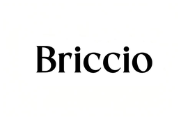 BRICCIO logo
