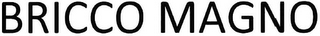 BRICCO MAGNO logo