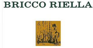 BRICCO RIELLA logo