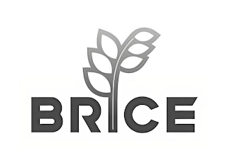 BRICE logo