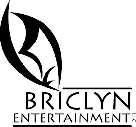 BRICLYN ENTERTAINMENT LLC logo
