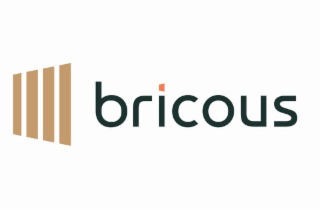 BRICOUS logo