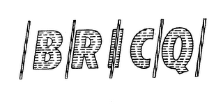 BRICQ logo