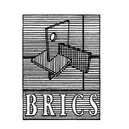 BRICS logo