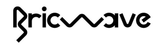 BRICWAVE logo