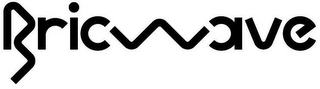 BRICWAVE logo