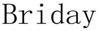 BRIDAY logo