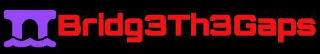 BRIDG3TH3GAPS logo